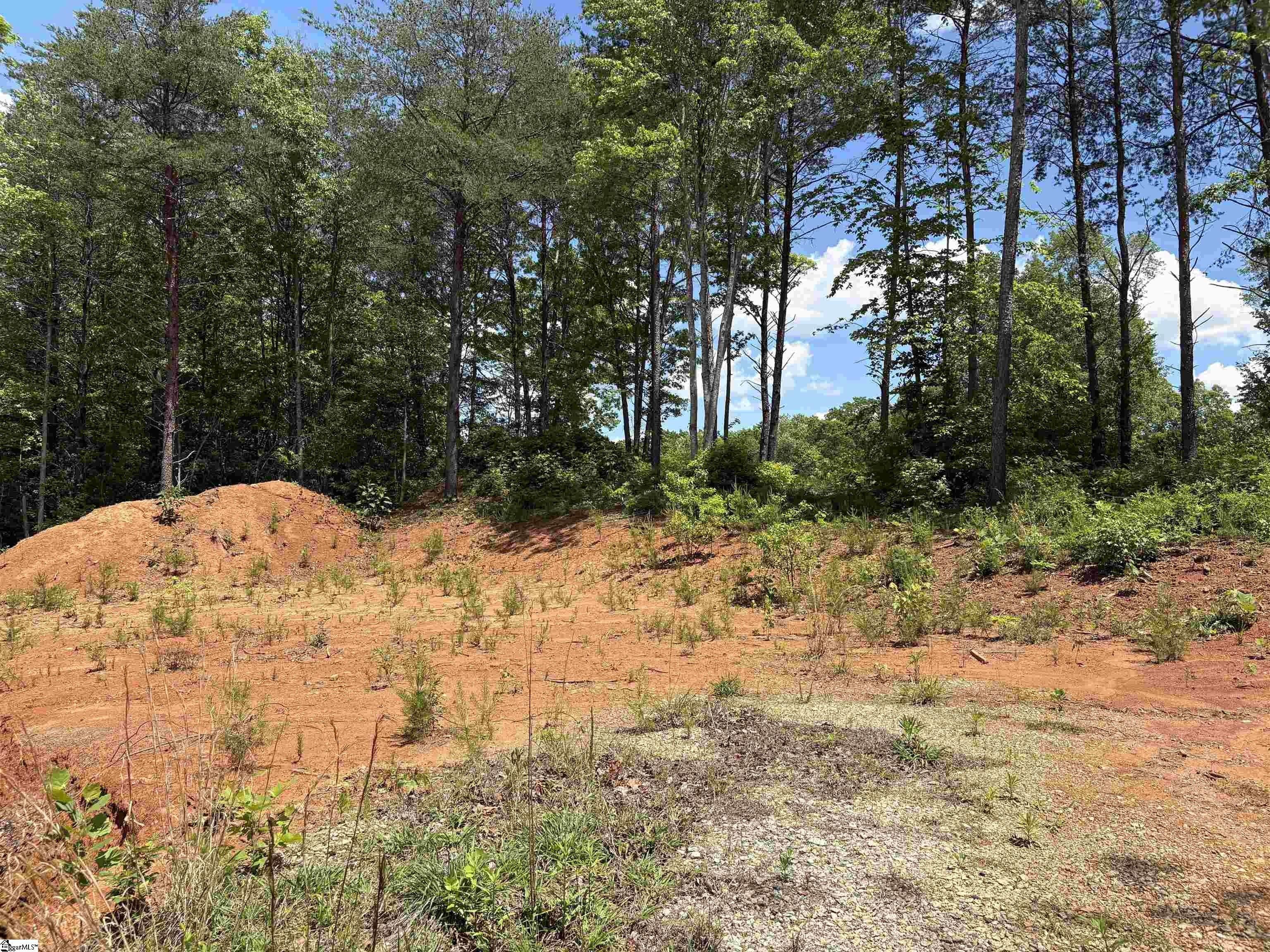 119 Tugaloo Road. Landrum, SC 29356