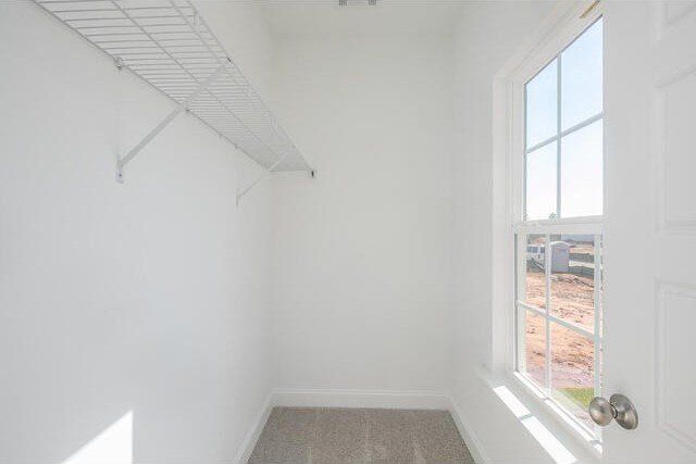 5033 Chimney Swift. Aiken, SC 29803