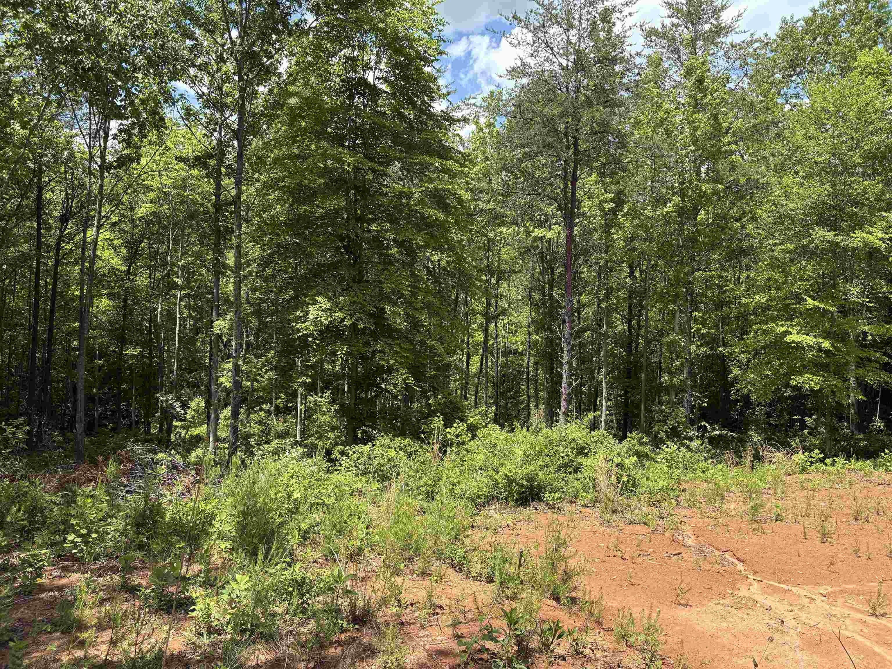 119 Tugaloo Road. Landrum, SC 29356