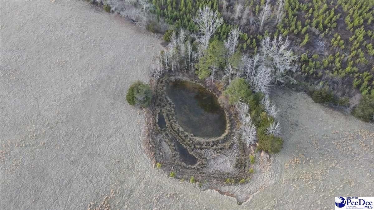 853 Freeman Loop Road. Chesterfield, SC 29709