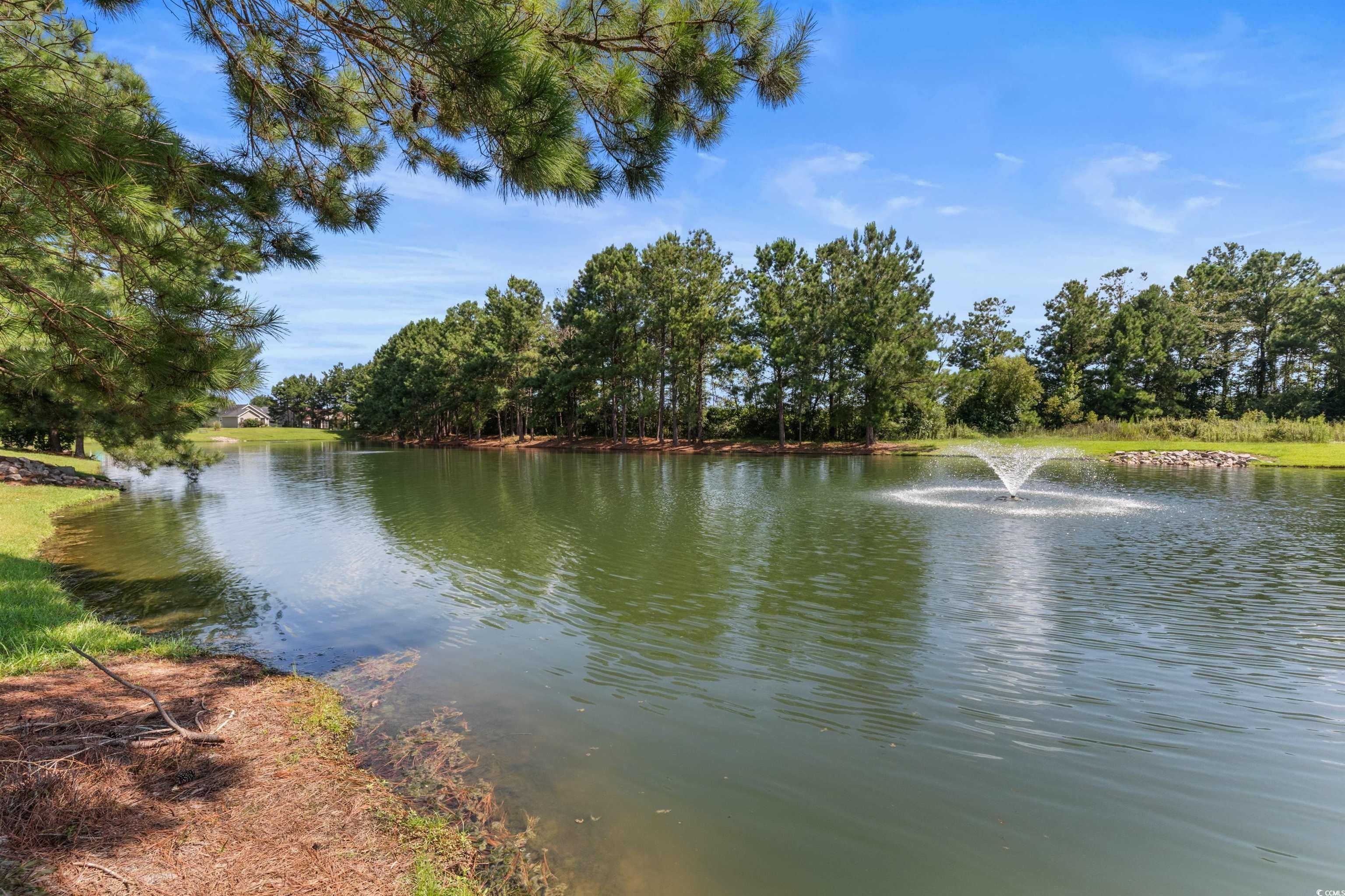 329 Blue Rock Dr. Longs, SC 29568