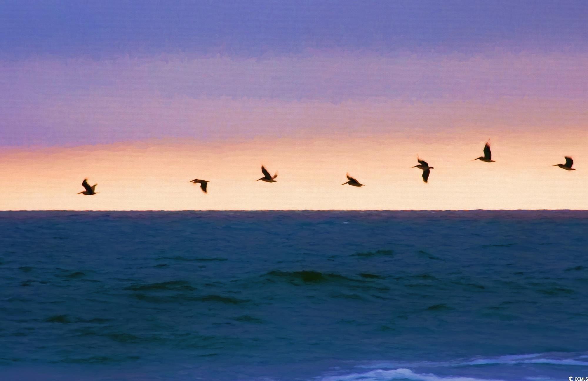 Lot 1A Brace Dr. Pawleys Island, SC 29585