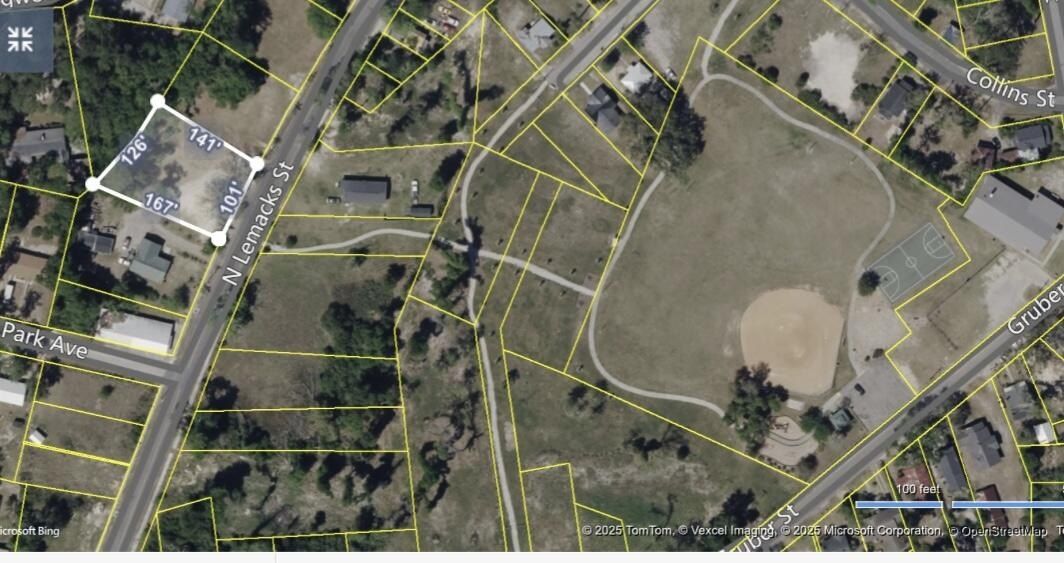 911 N Lemacks Street. Walterboro, SC 29488