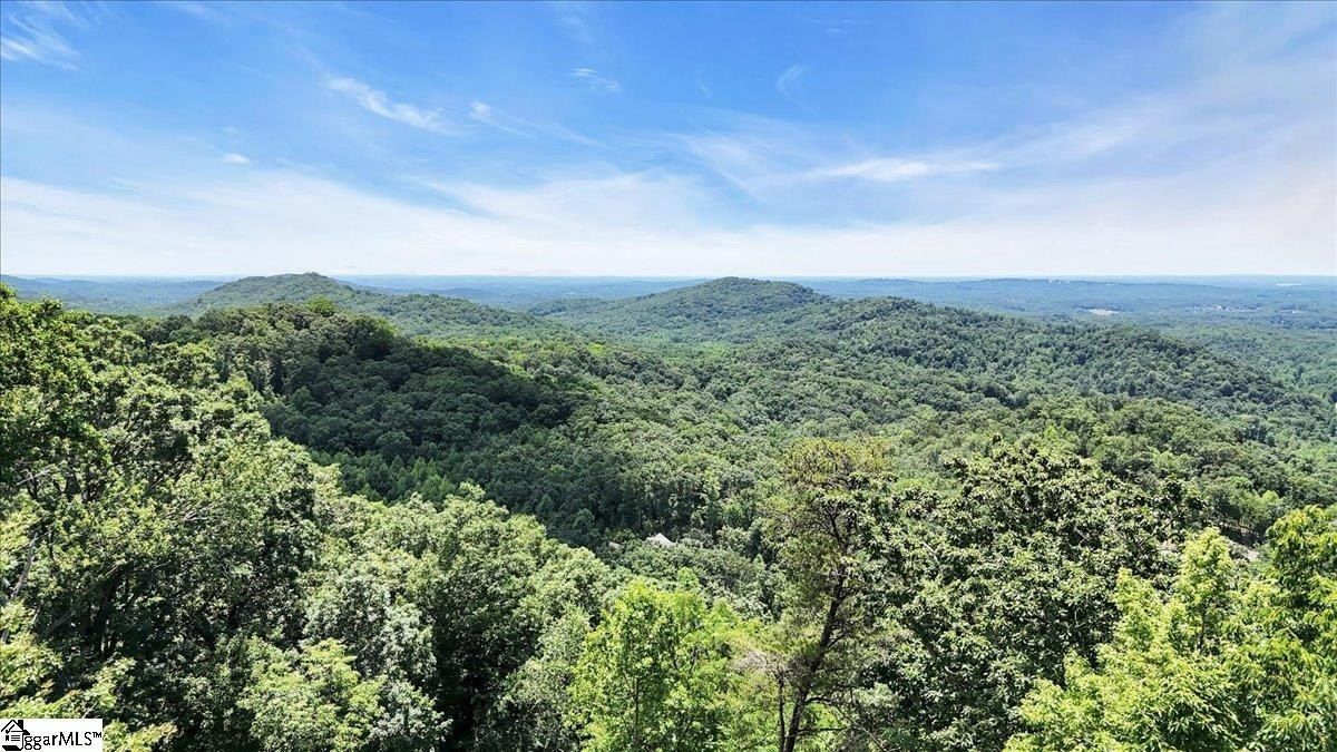 146 Glassy Falls Trail. Travelers Rest, SC 29690