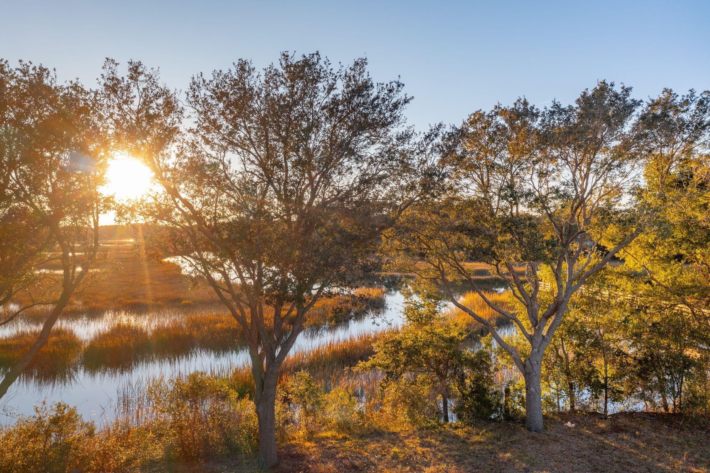 830 Curved Creek Court. Charleston, SC 29412