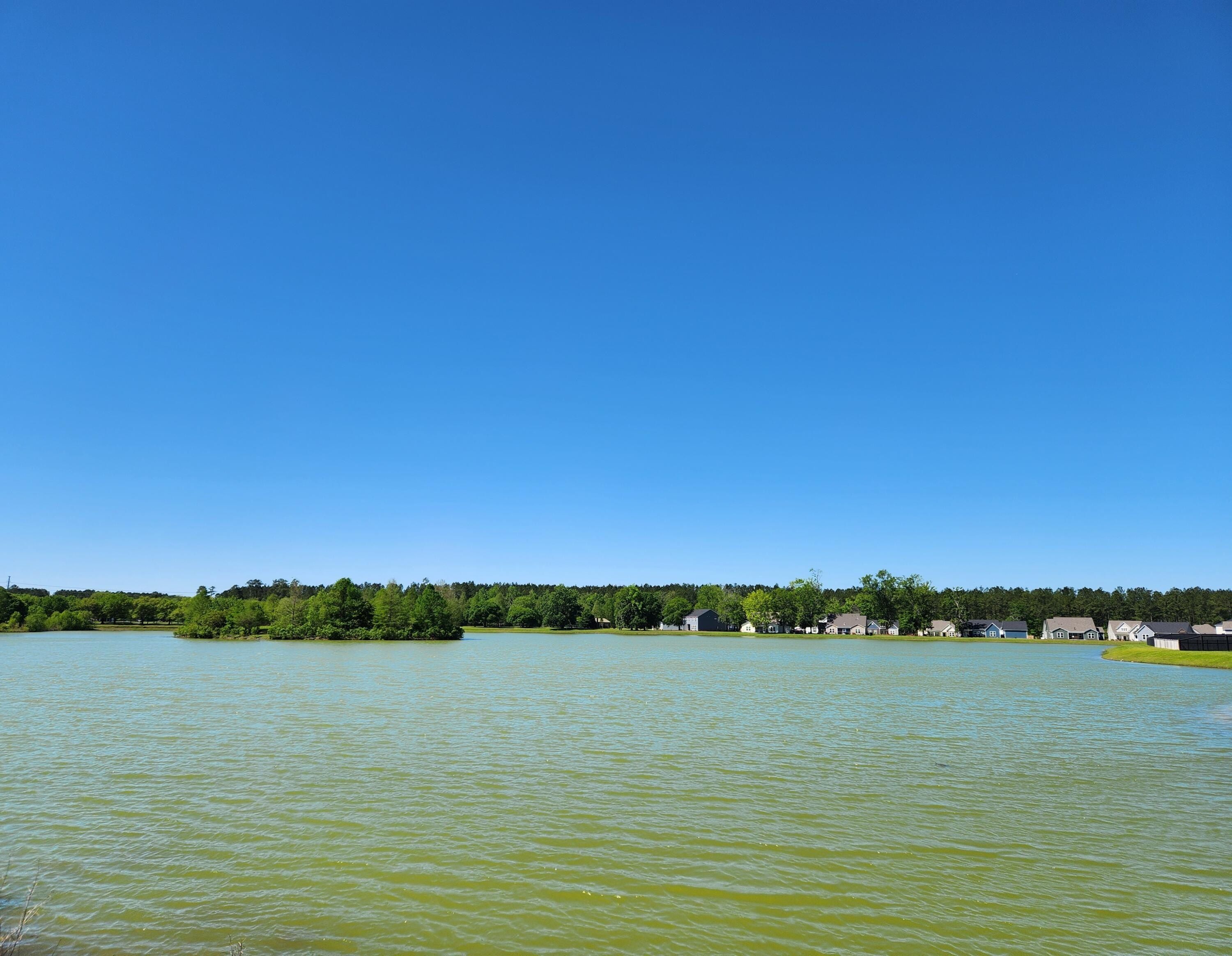 136 Darby Meadow Lane. Ridgeville, SC 29472