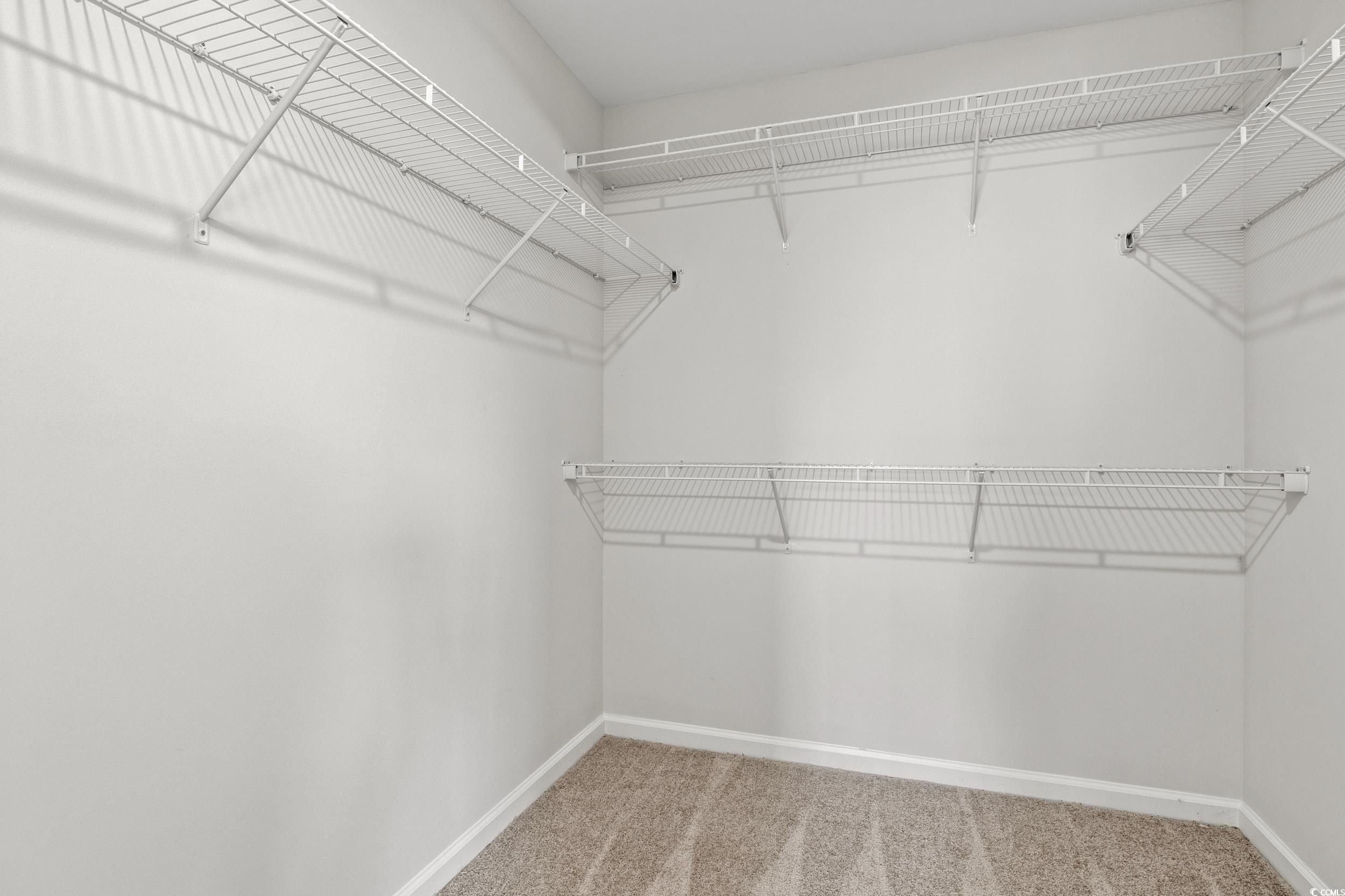 335 Barn Owl Way. Conway, SC 29527