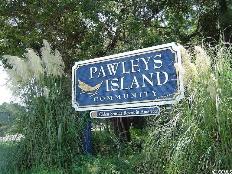98 Henderson Way. Pawleys Island, SC 29585