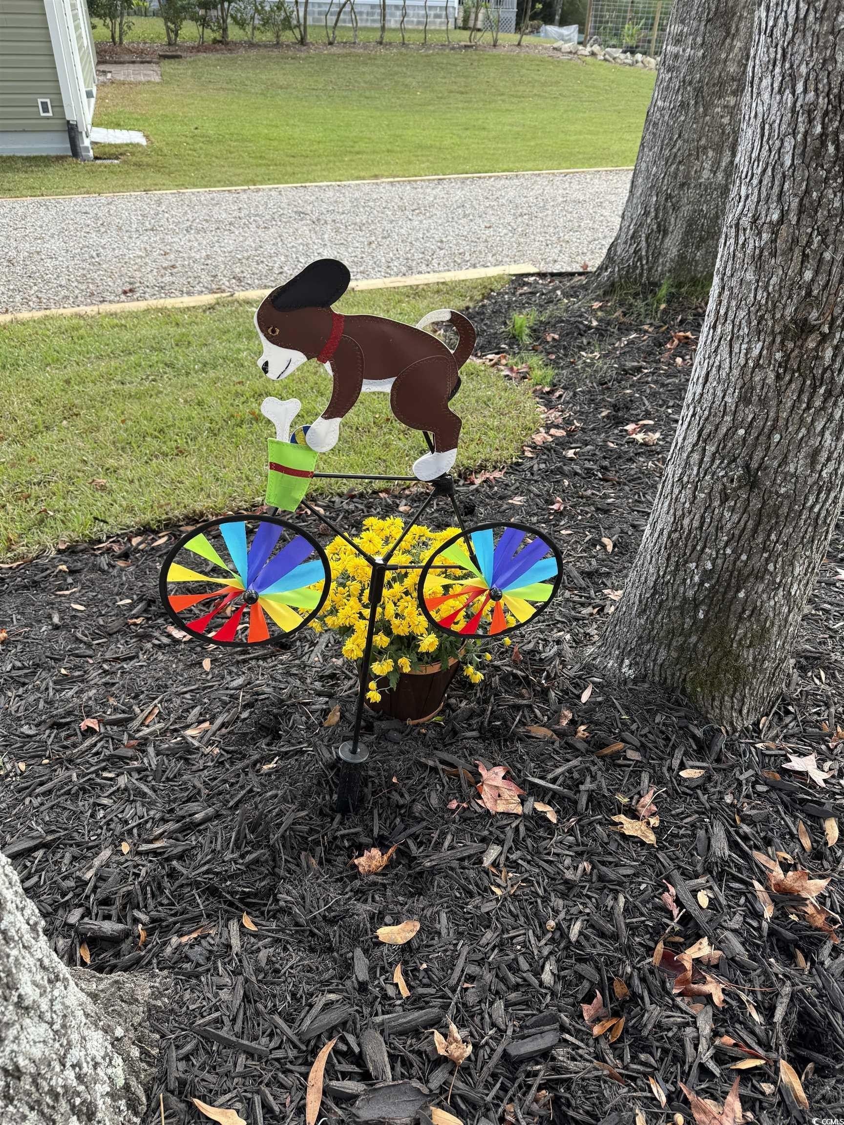 3723 Choppee Rd. Georgetown, SC 29440