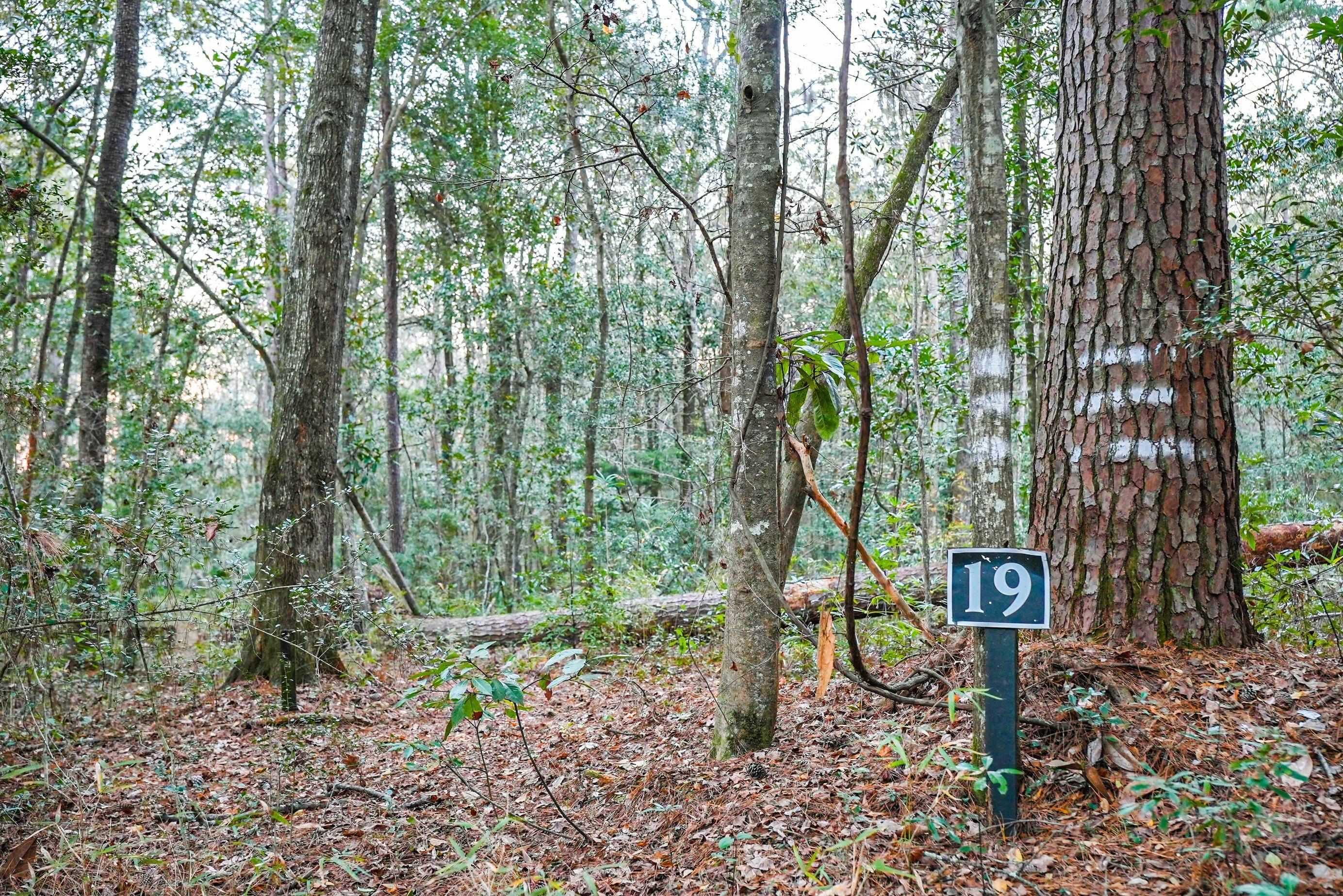 19 Middleton Oaks Road. Charleston, SC 29414