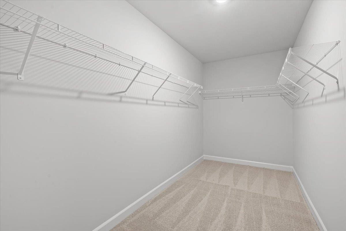 431 Blissful Court. Taylors, SC 29687