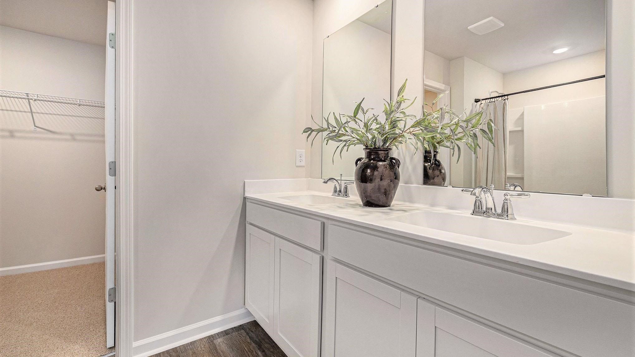 242 Bald Cypress Way. Conway, SC 29527