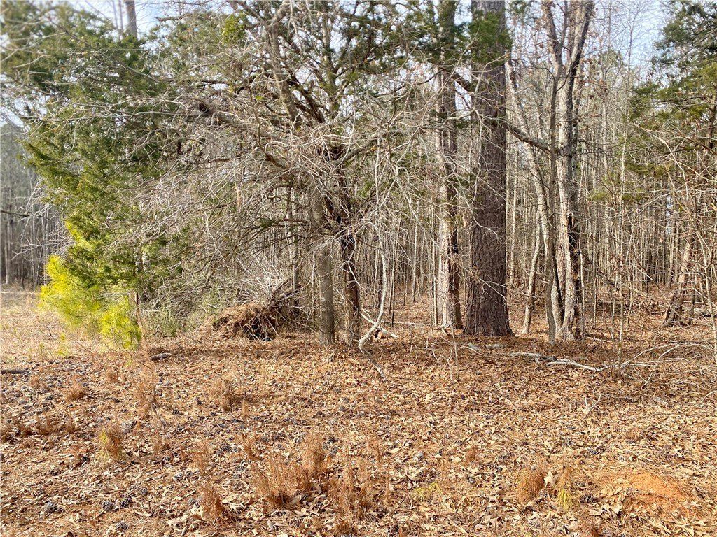 384 Skippers Lodge Road. Cross Hill, SC 29332