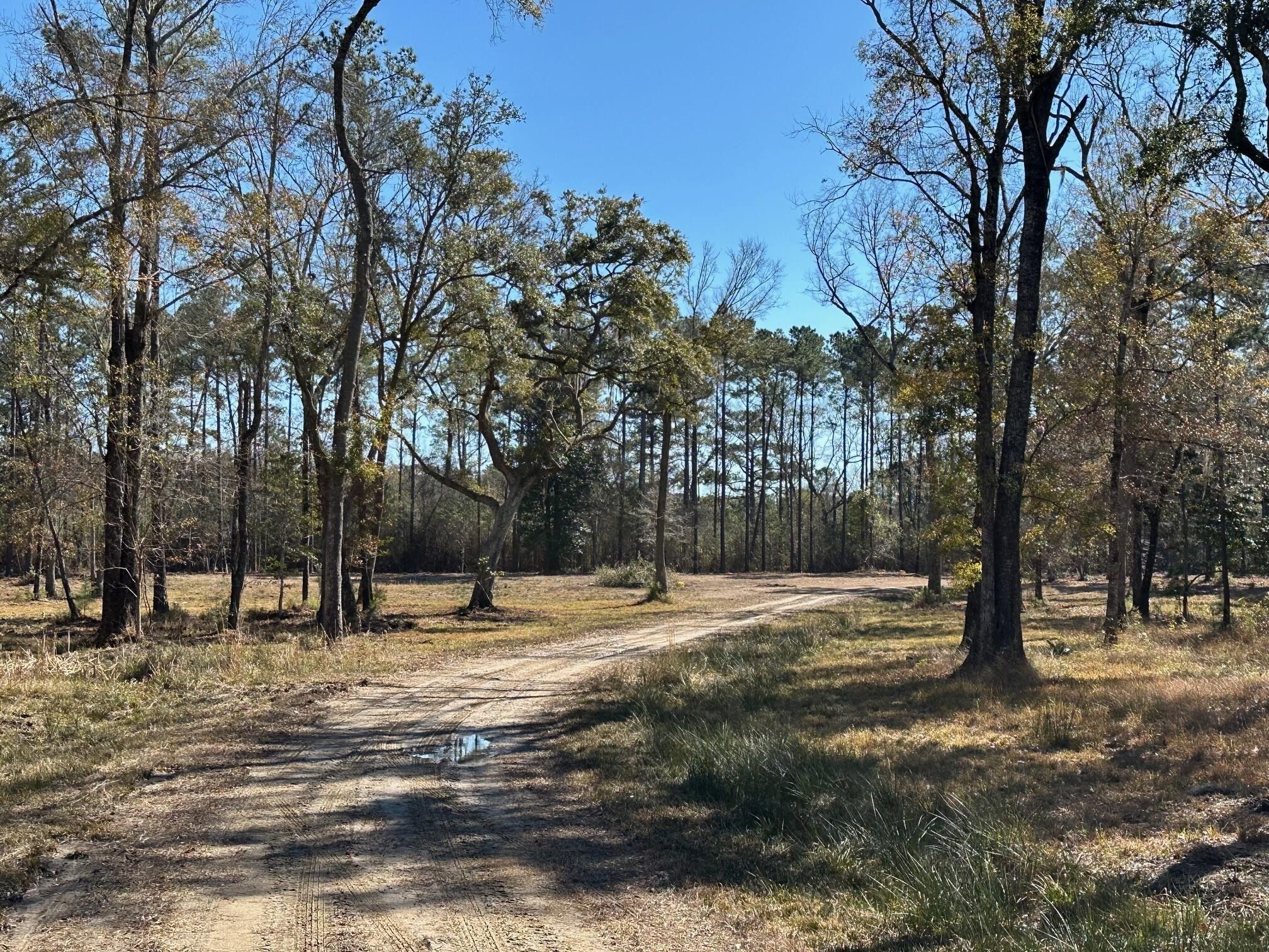 Allandale Plantation Road. Wadmalaw Island, SC 29487