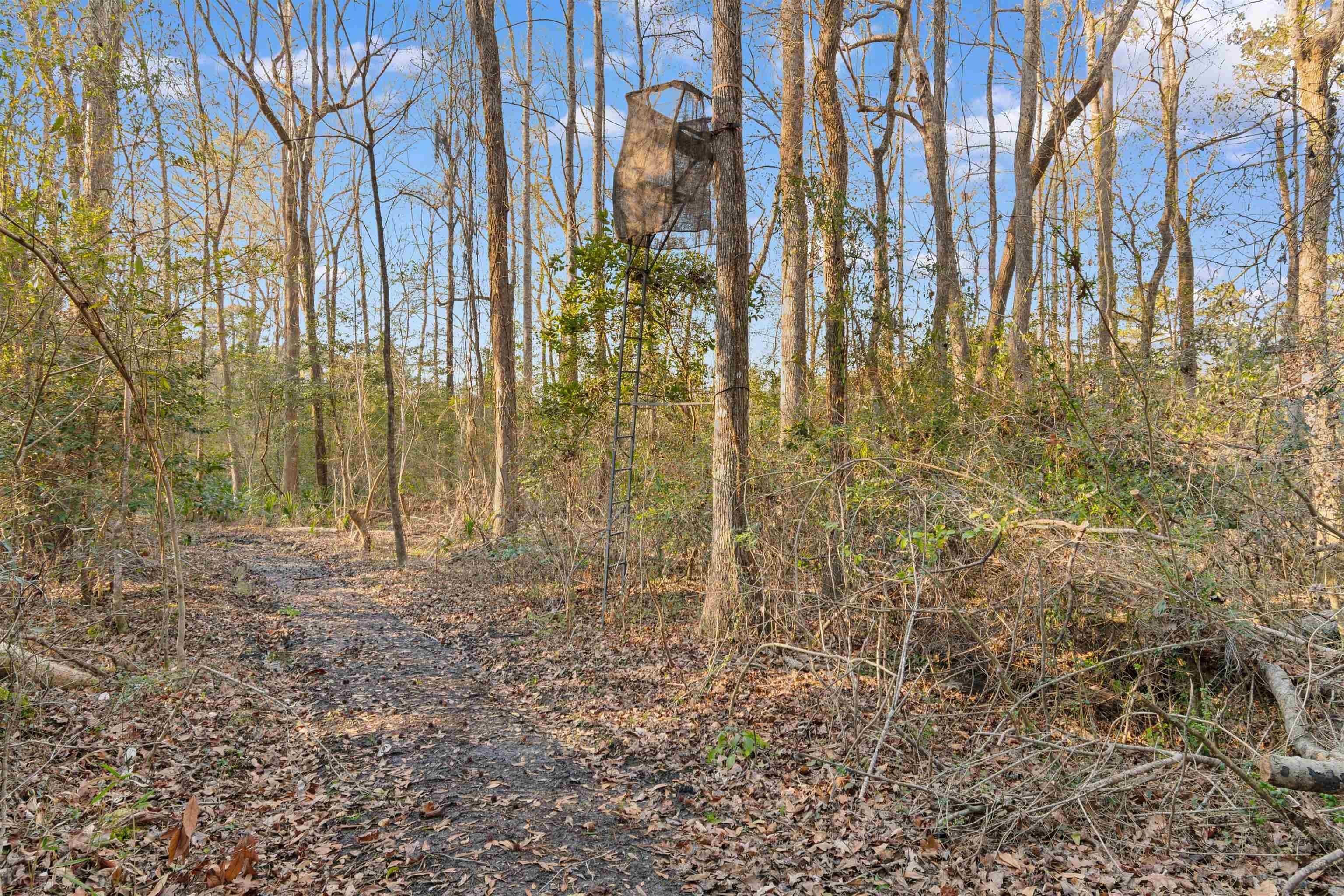 6870 Clay Hill Rd. Galivants Ferry, SC 29544