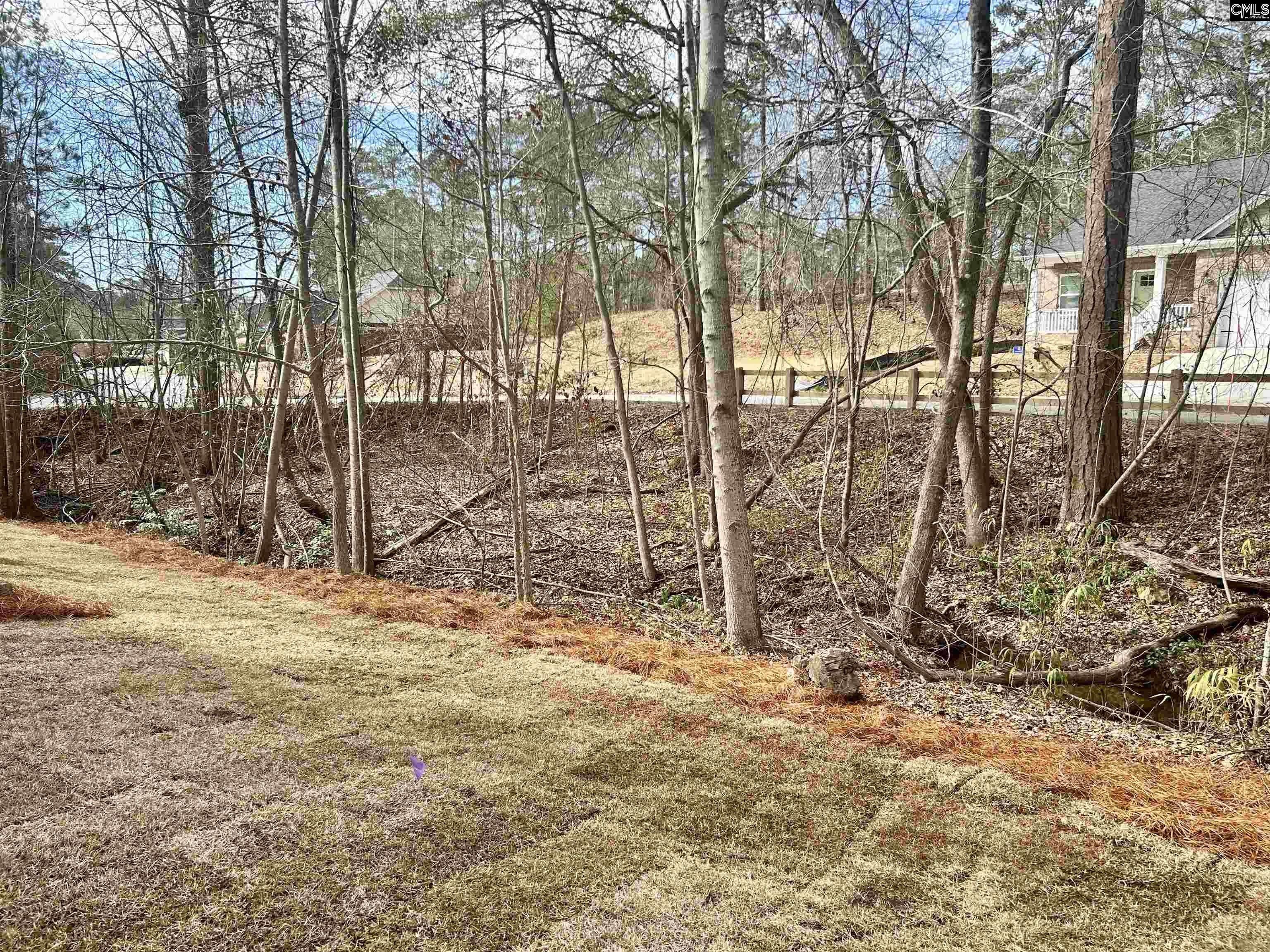 205 Quiet Side Court. Blythewood, SC 29016