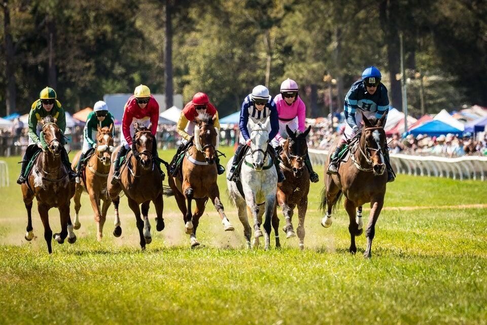 8783 Snelling Drive. Aiken, SC 29803