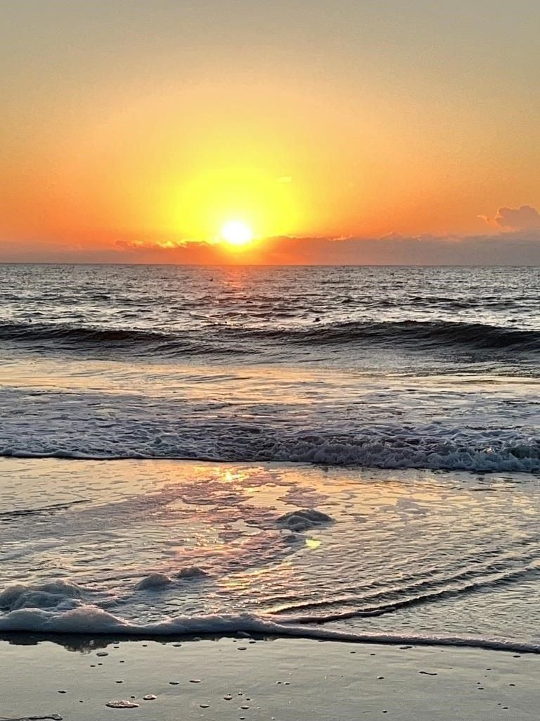 77 Hallandale Lane. Murrells Inlet, SC 29576