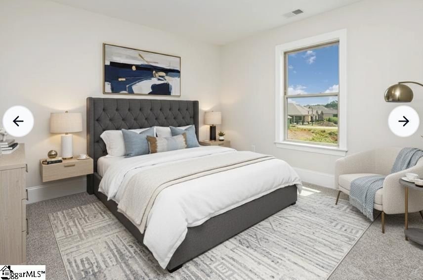 410 Palazzo Place. Greer, SC 29650