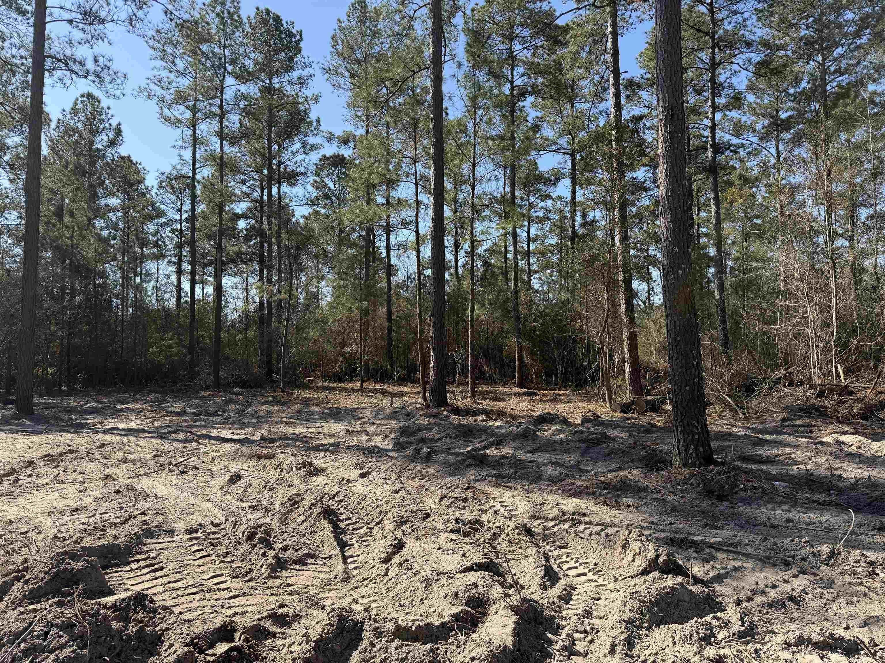 265 Apple Valley Rd. Loris, SC 29569