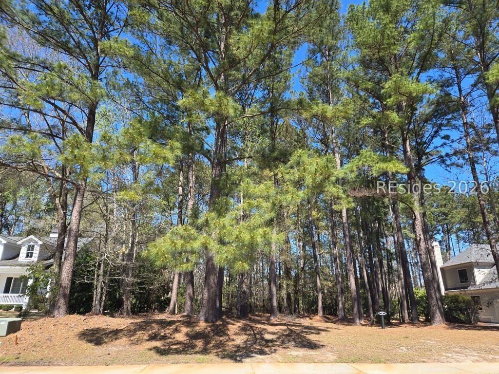 92 Wicklow Drive. Bluffton, SC 29910