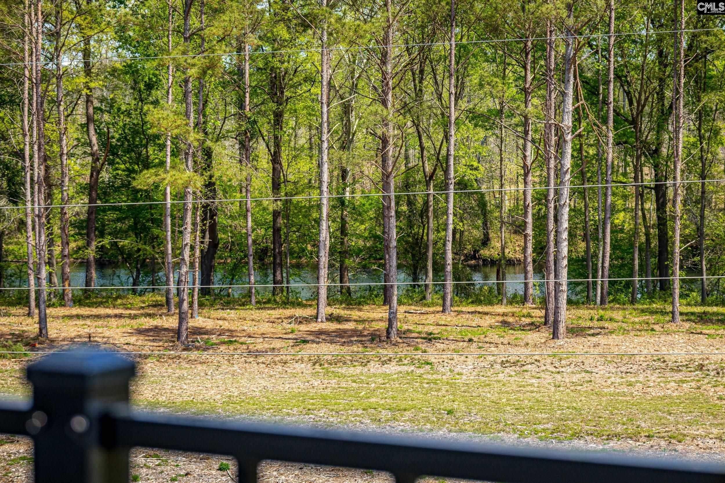 2040 Shallow Bluff Court. Lexington, SC 29072