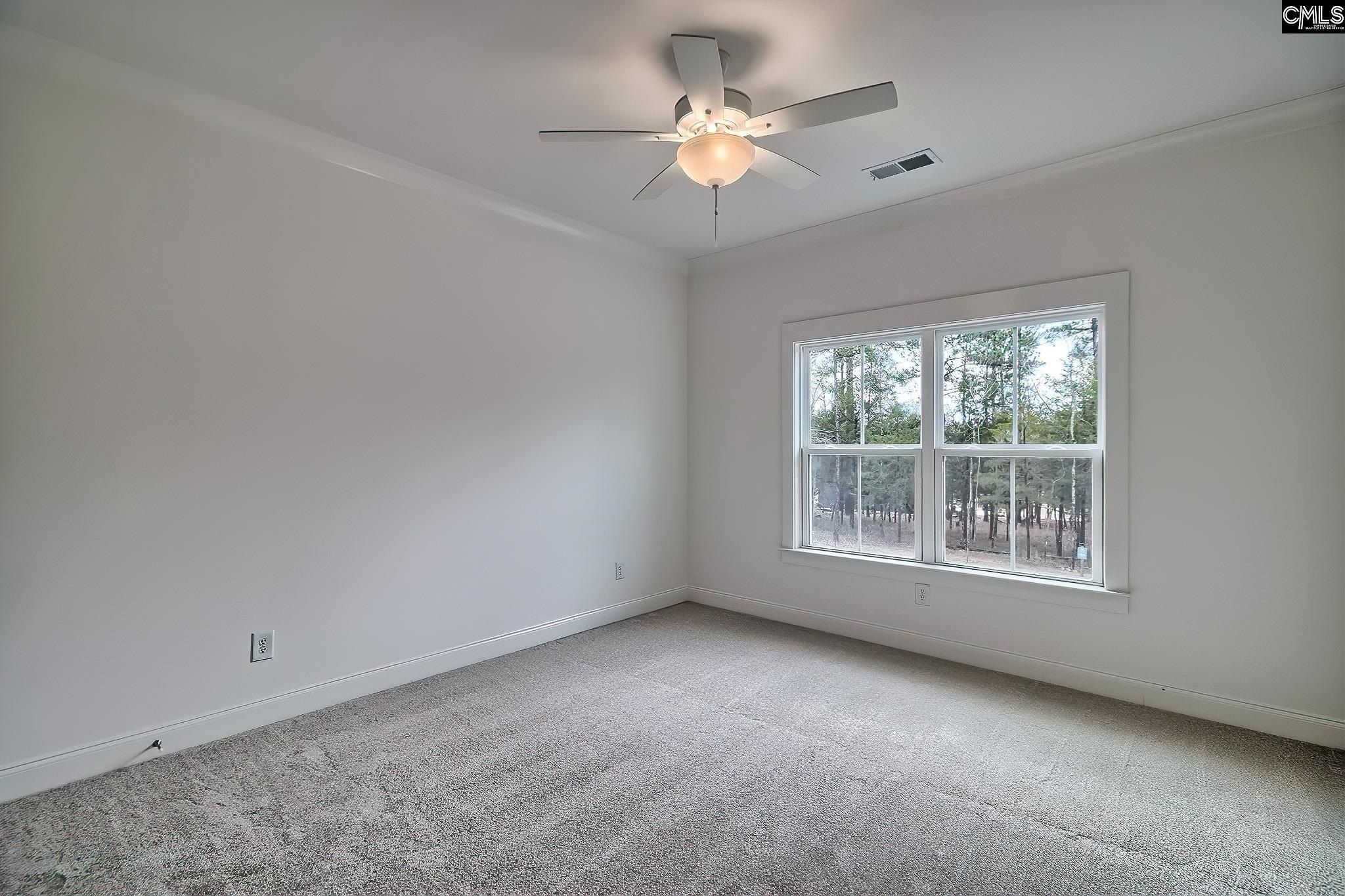 820 Elms Spinney Lane. Chapin, SC 29036