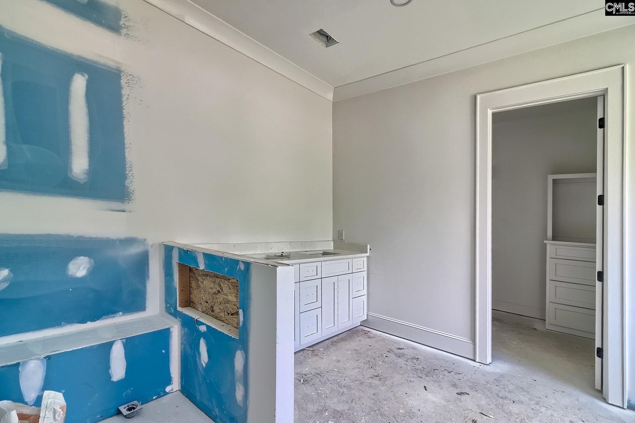 858 Elms Spinney Lane. Chapin, SC 29036