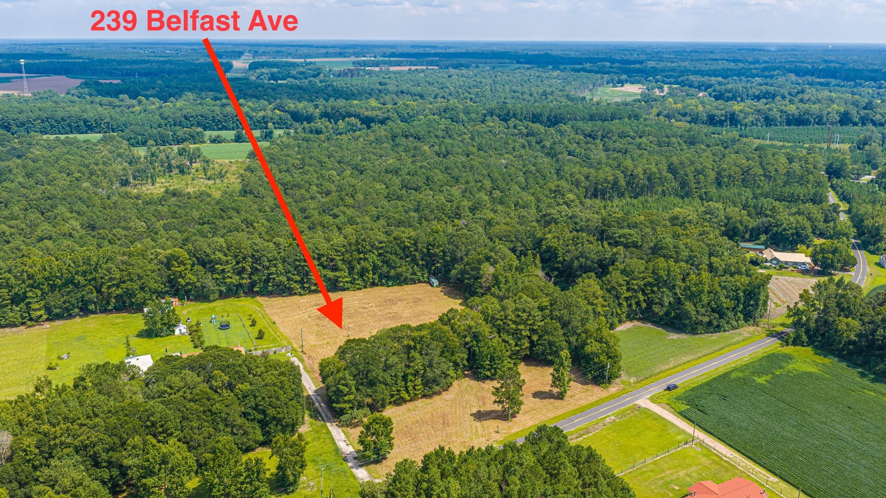 239 Belfast Avenue. Holly Hill, SC 29059