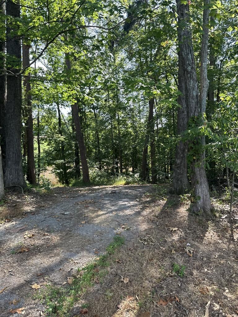 3004 Pricetown Rd. Whitleyville, TN 38588