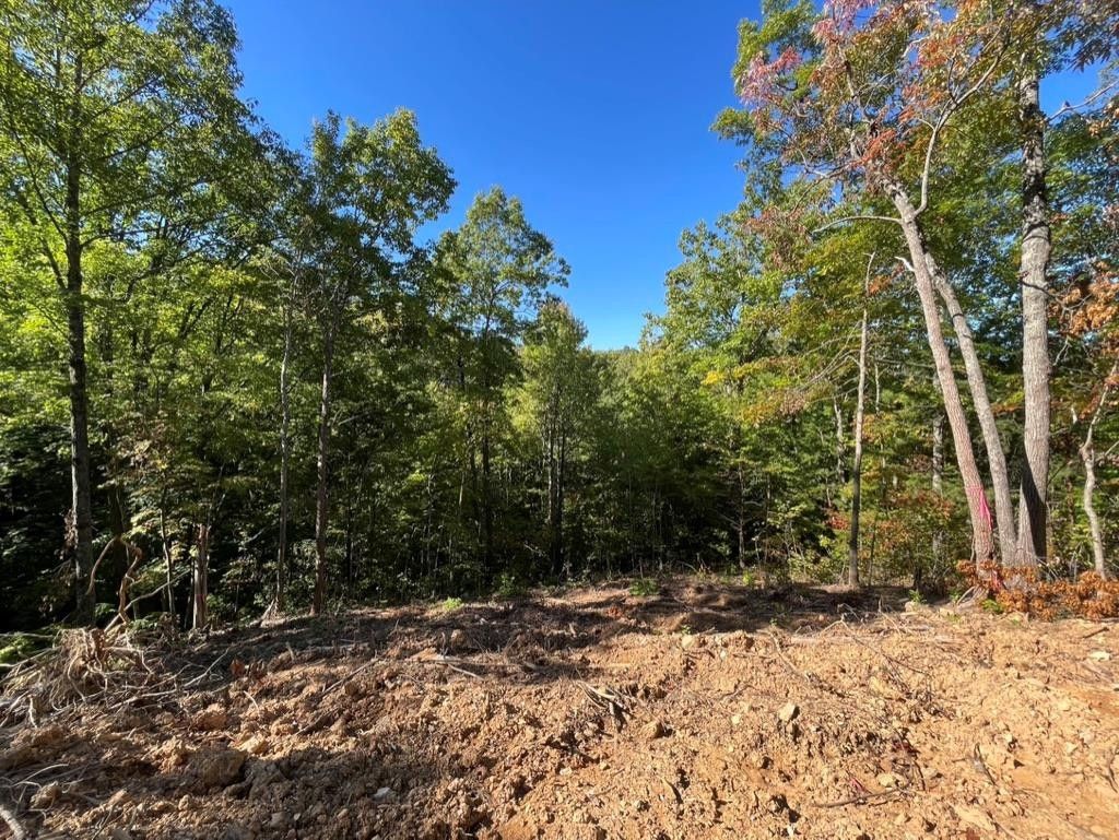 Lot 5 Caney Creek. Pigeon Forge, TN 37863
