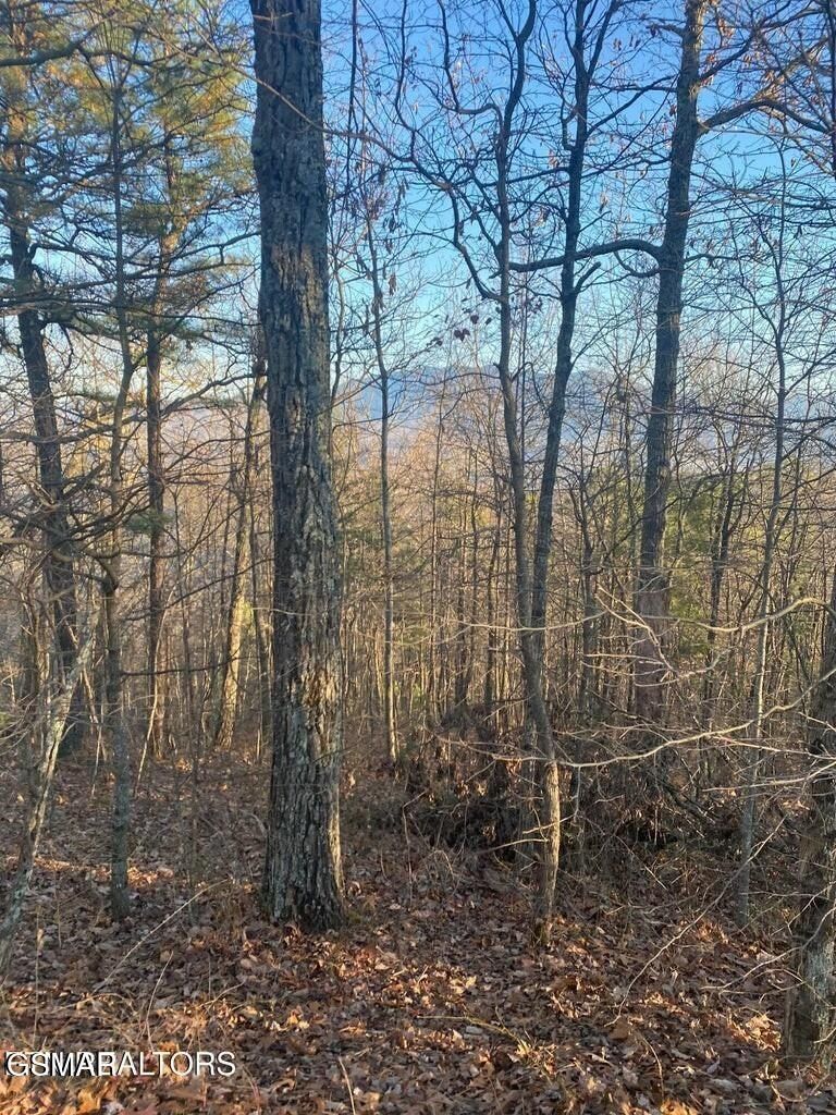 D7 Lightning Bug Way. Gatlinburg, TN 37738