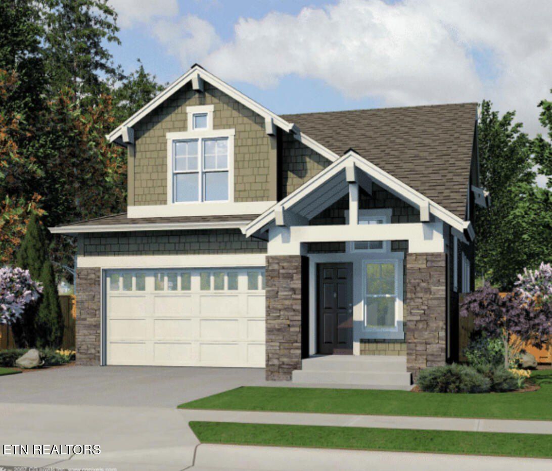 Orange Petal Lane. Knoxville, TN 37931