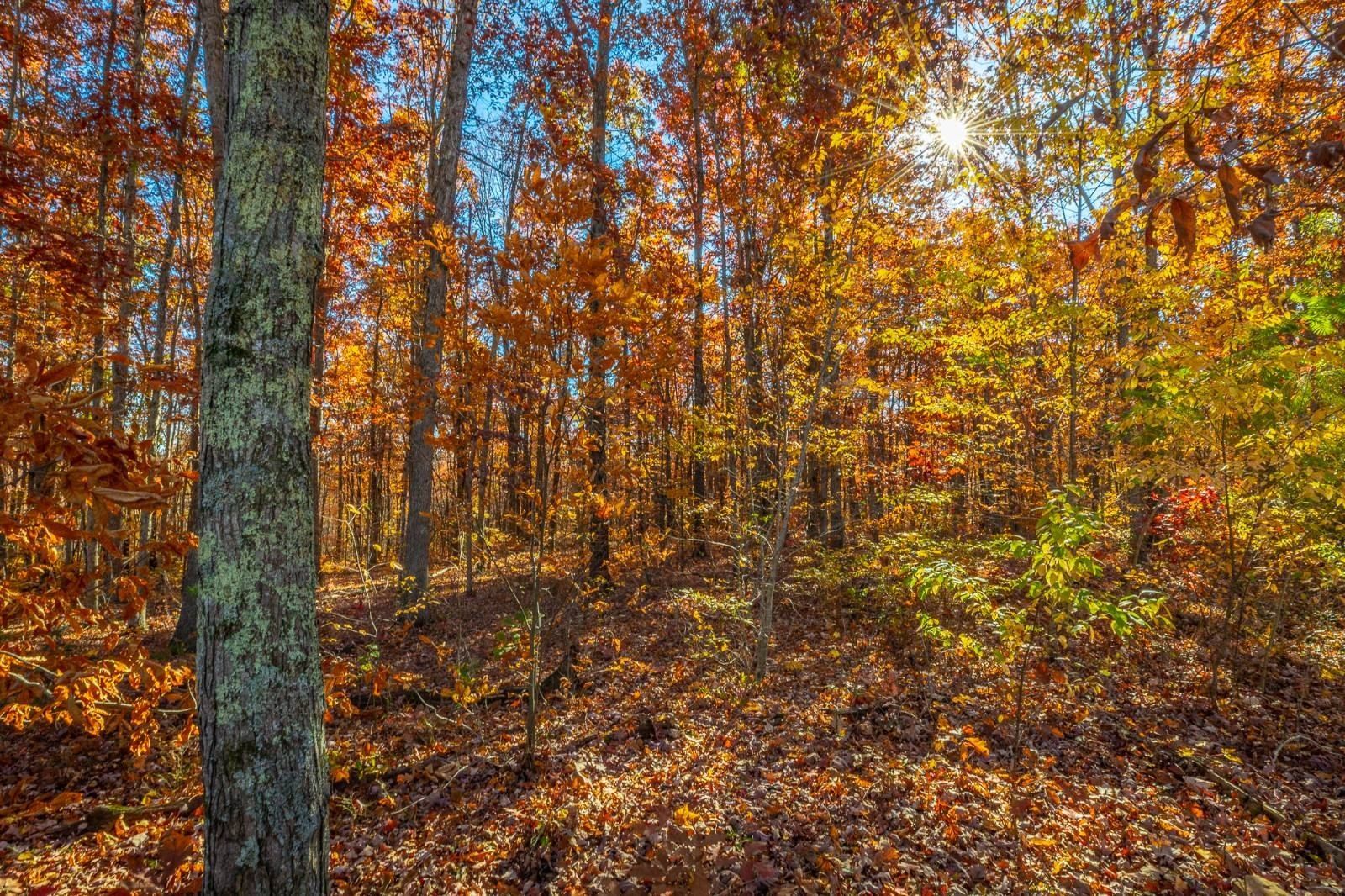 450 Hickory Rd. Spring City, TN 37381