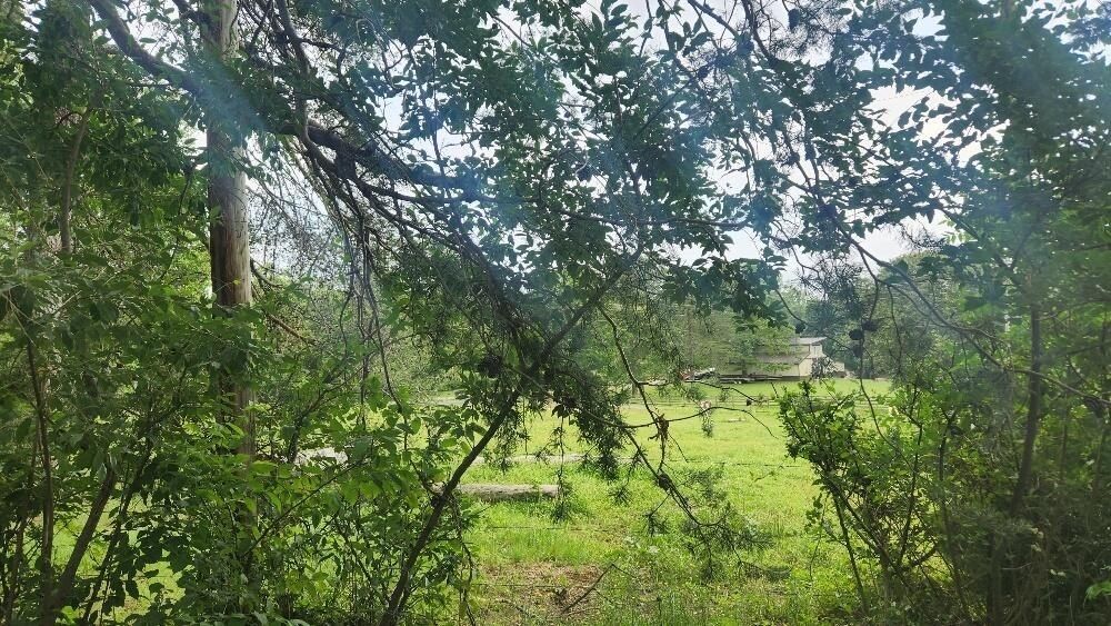 47 Blue Berry Drive. Pikeville, TN 37367