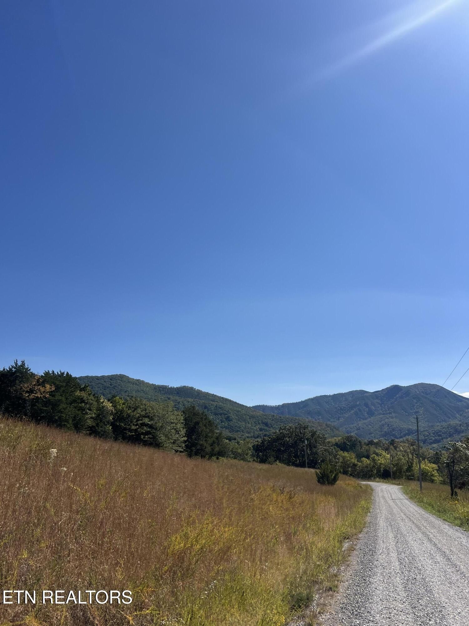 269 Mountain Mist Lane. Del Rio, TN 37727