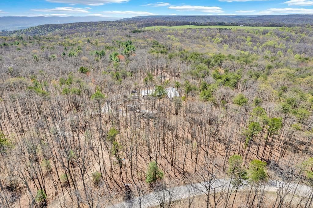 97 W Bluff Rd. Pikeville, TN 37367