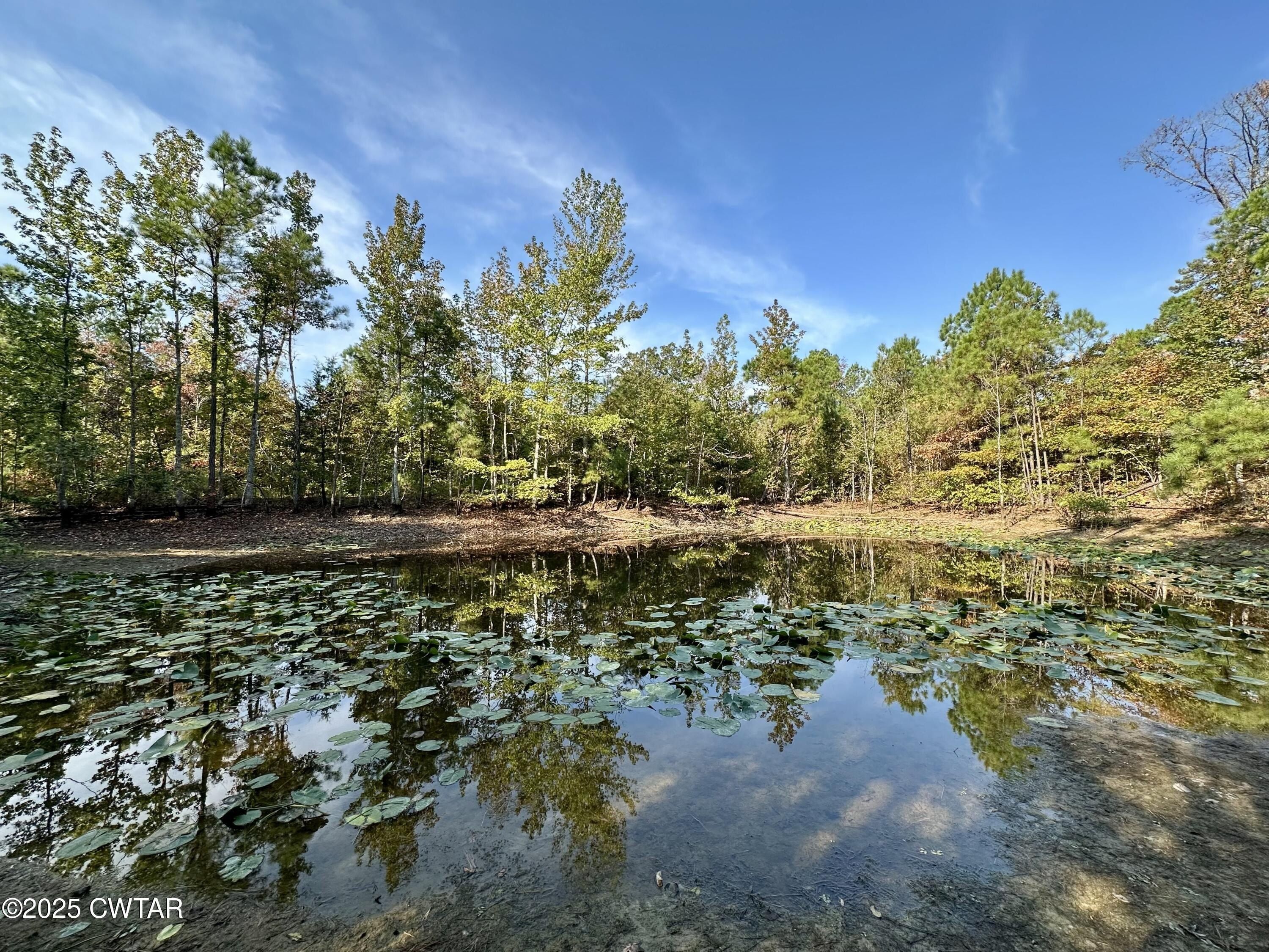 1137 Hopewell Church Road. Finger, TN 38334