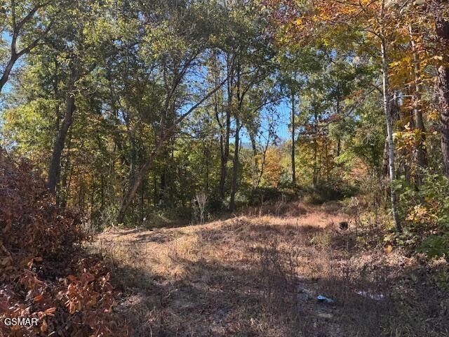 2779 Easy Street. Sevierville, TN 37862