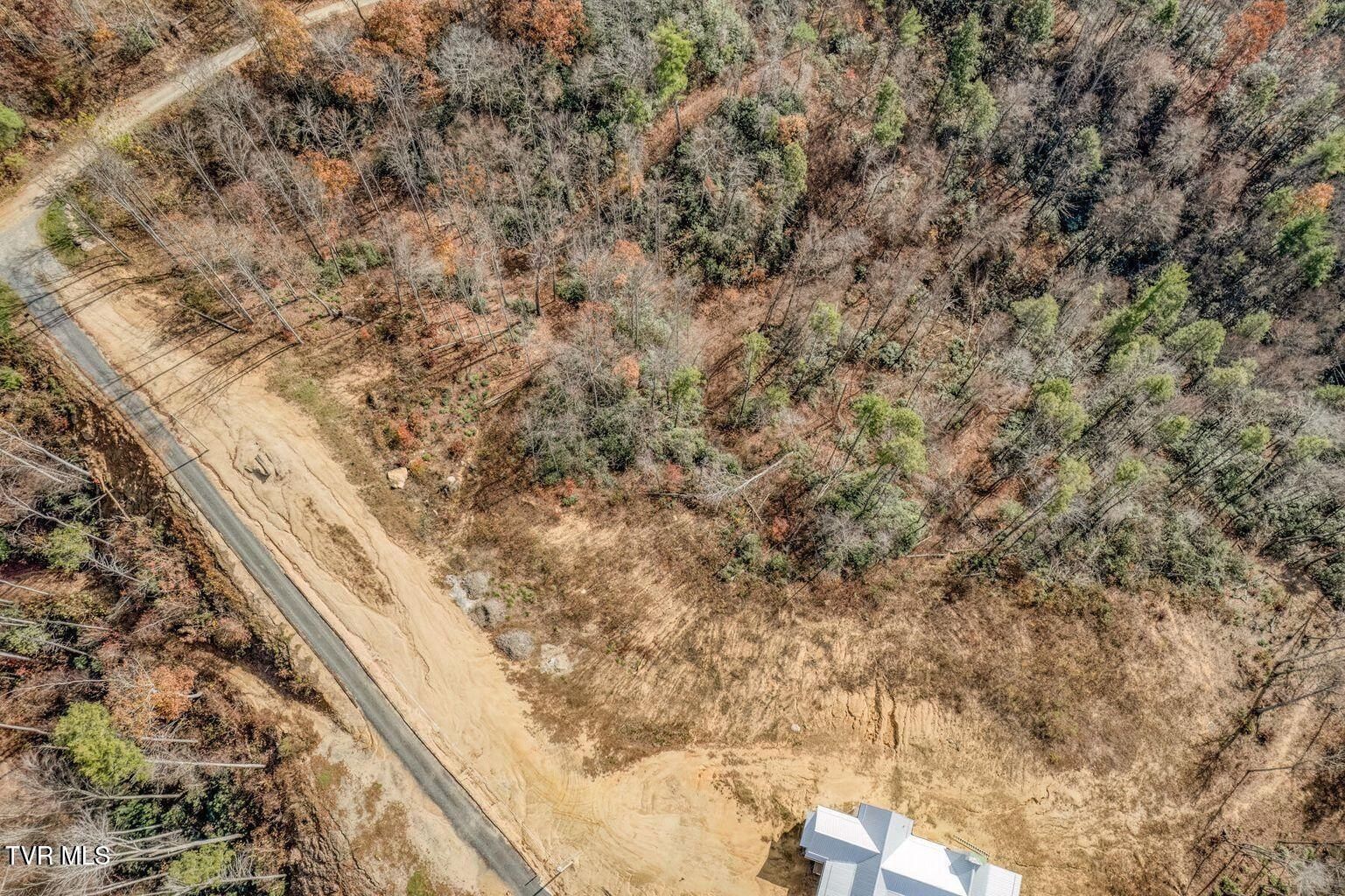 169 Teaberry Road. Roan Mountain, TN 37687