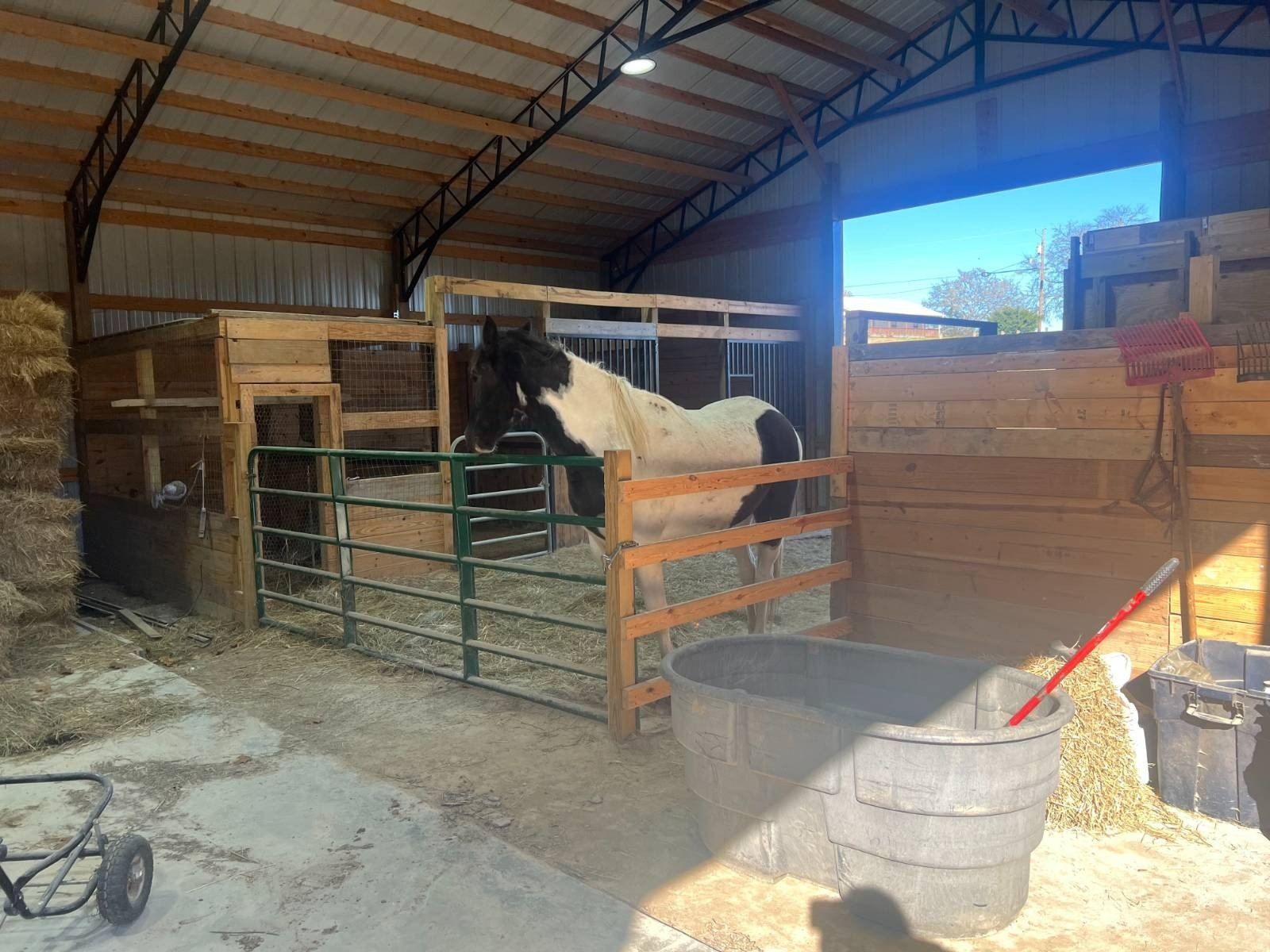 1010 Keener Road. Cosby, TN 37722