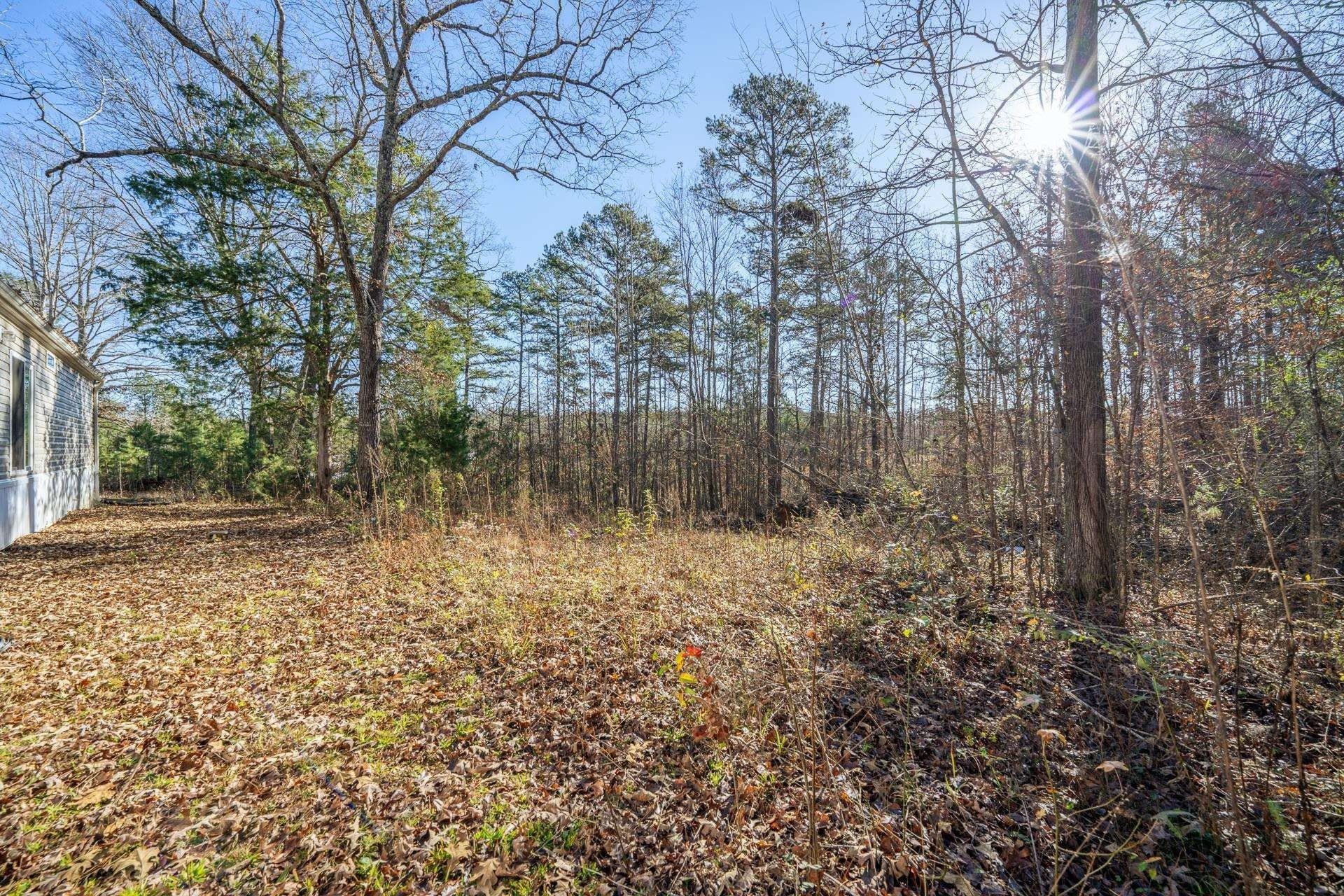 4090 Pyburn. Savannah, TN 38372