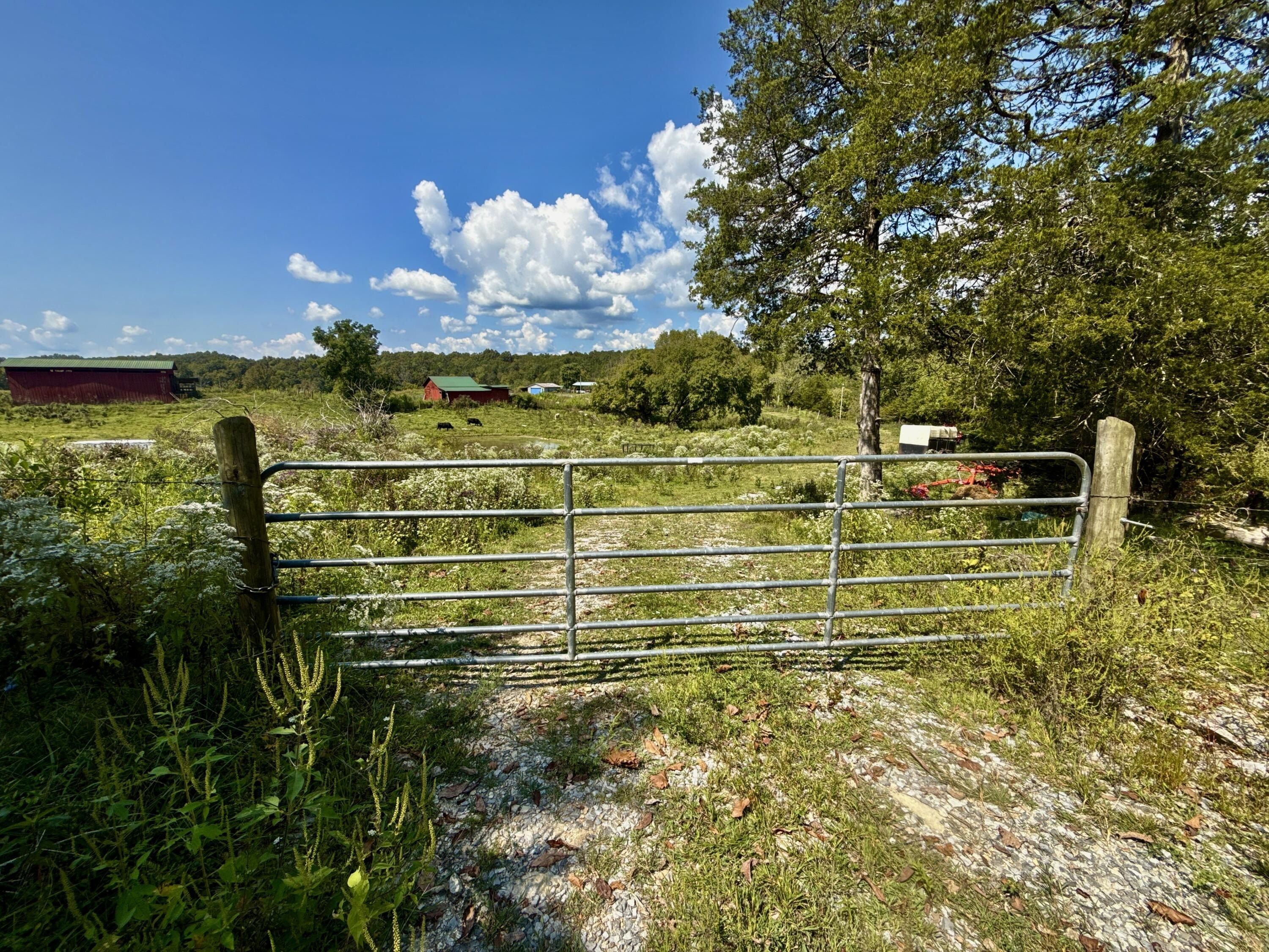 2114 Powell River Rd 1. Tazewell, TN 37879