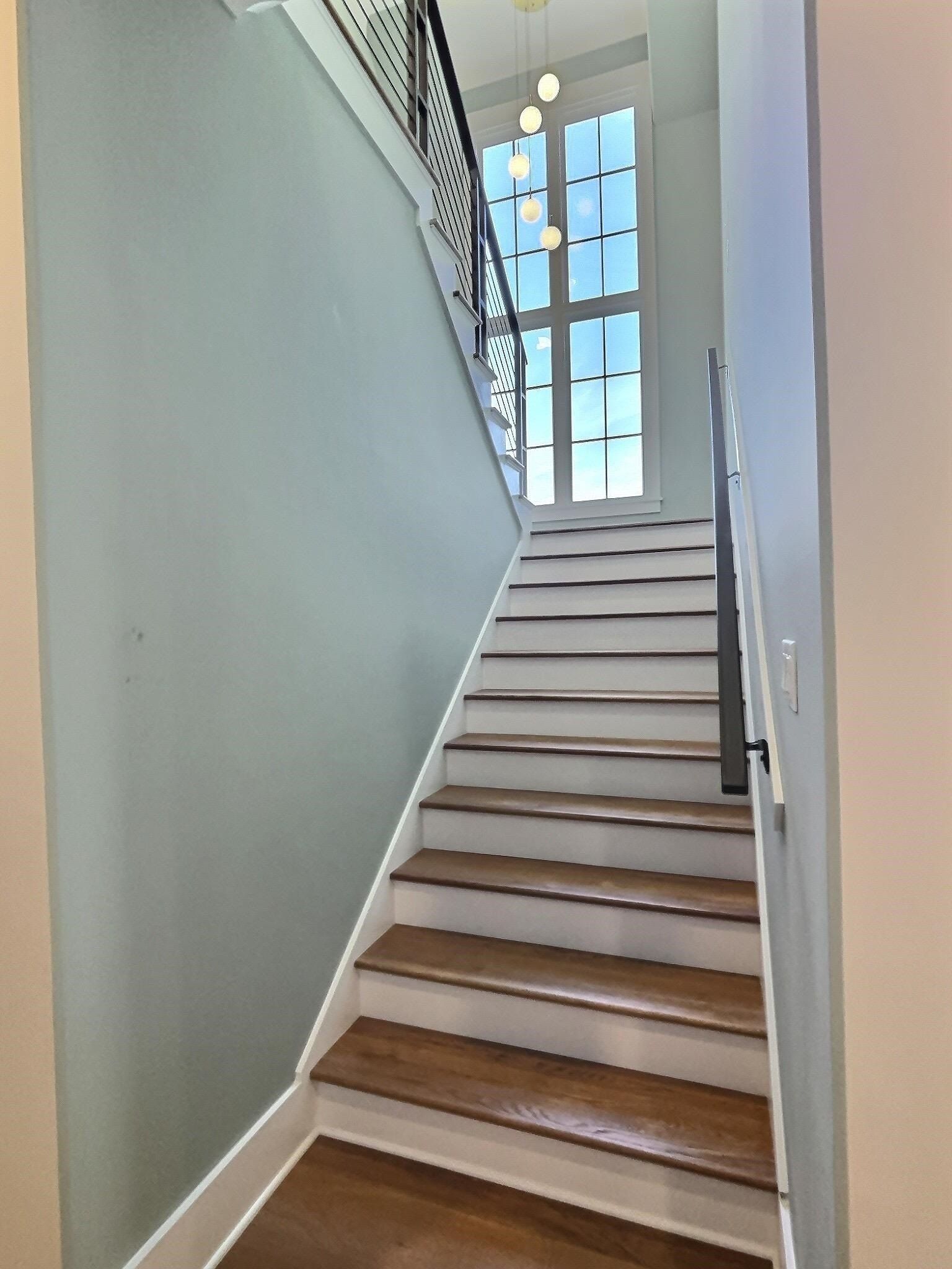 1537 Paso Fino. Collierville, TN 38017