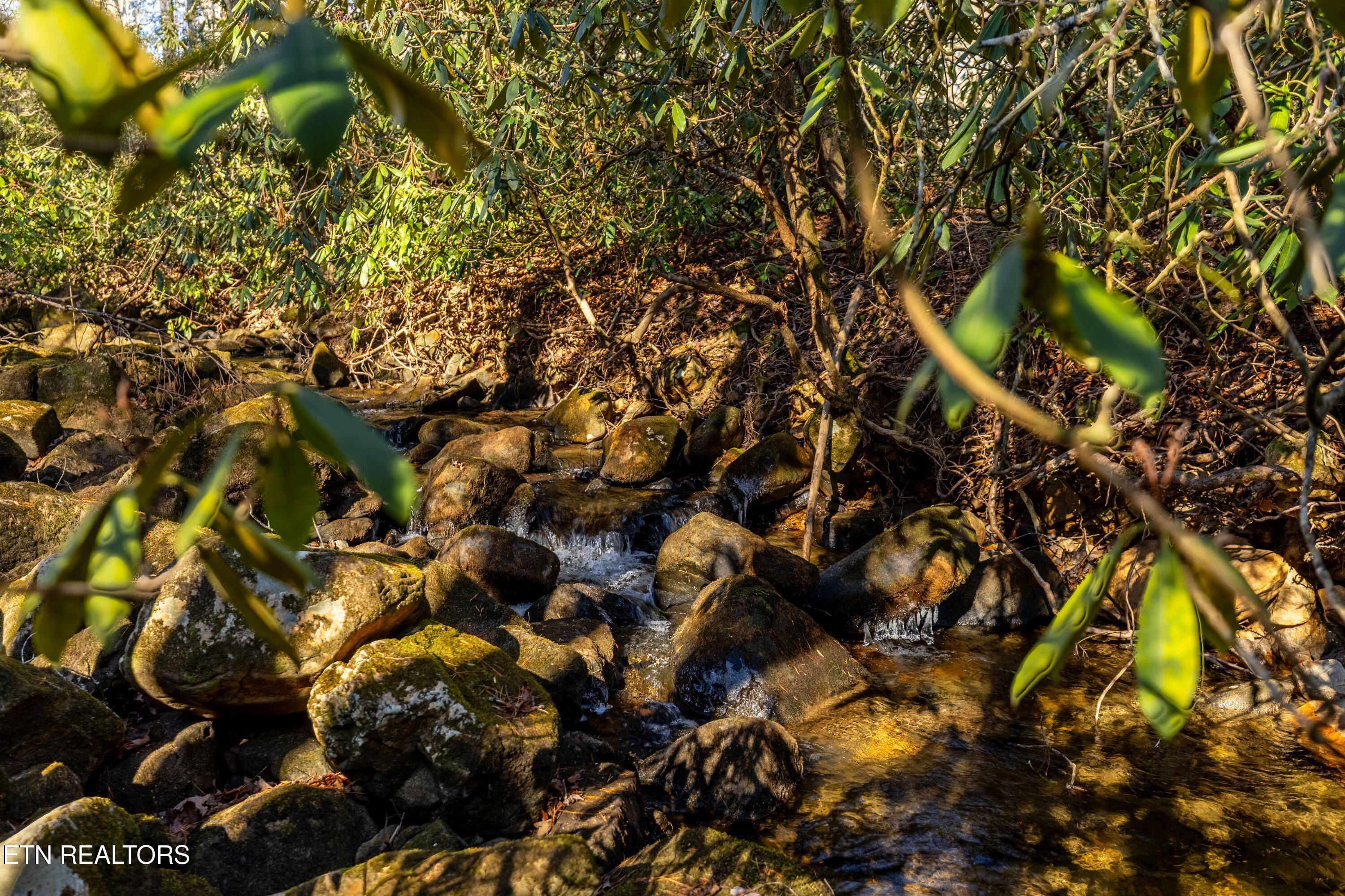 560 Bullet Creek Rd. Reliance, TN 37369