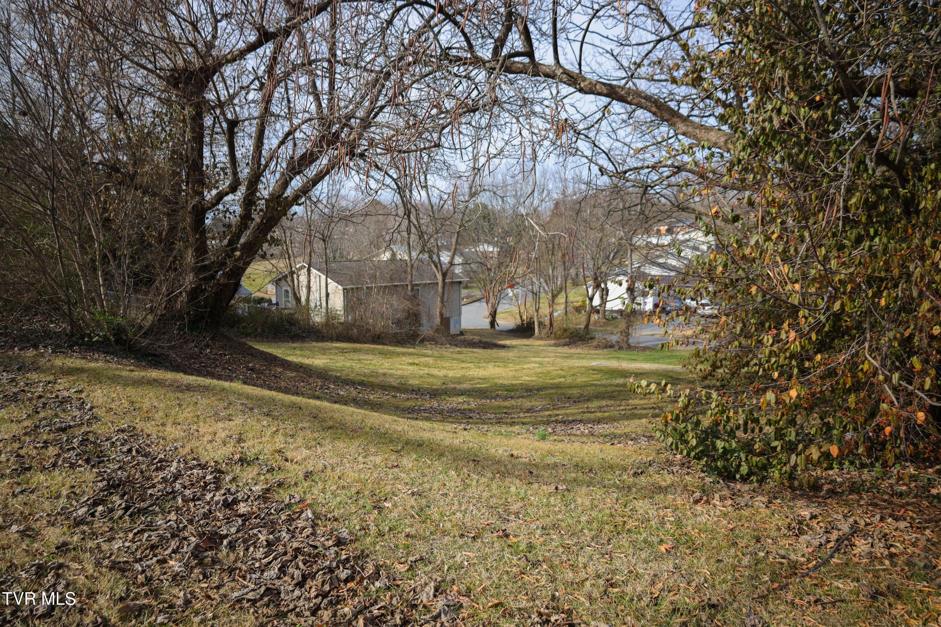 308 W 10Th Avenue. Johnson City, TN 37604