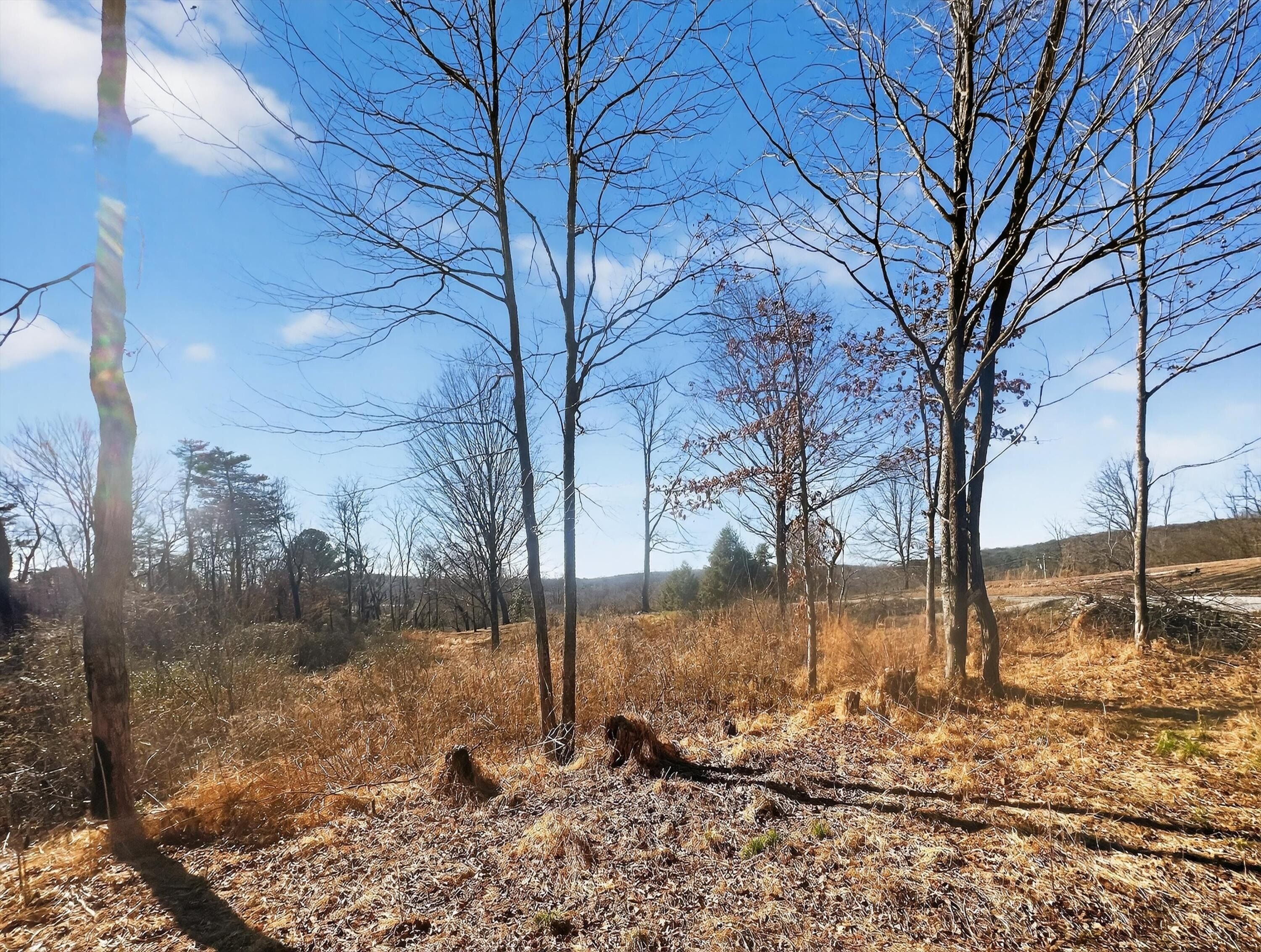 56 11Th Street. Tracy City, TN 37387