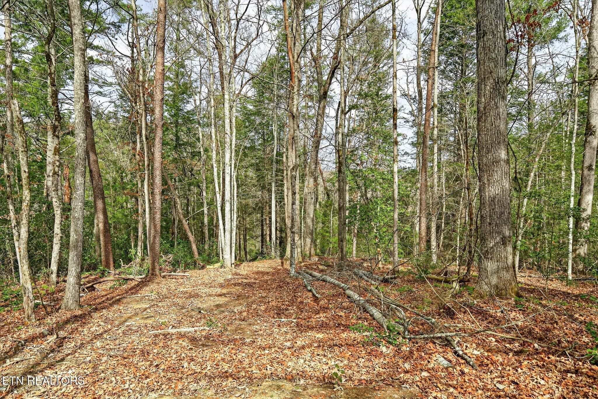 523 Ferry Bend Tr. Crossville, TN 38571