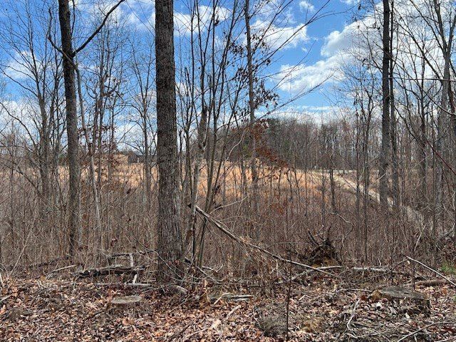 1023 Flat Rock Rd. Jamestown, TN 38556