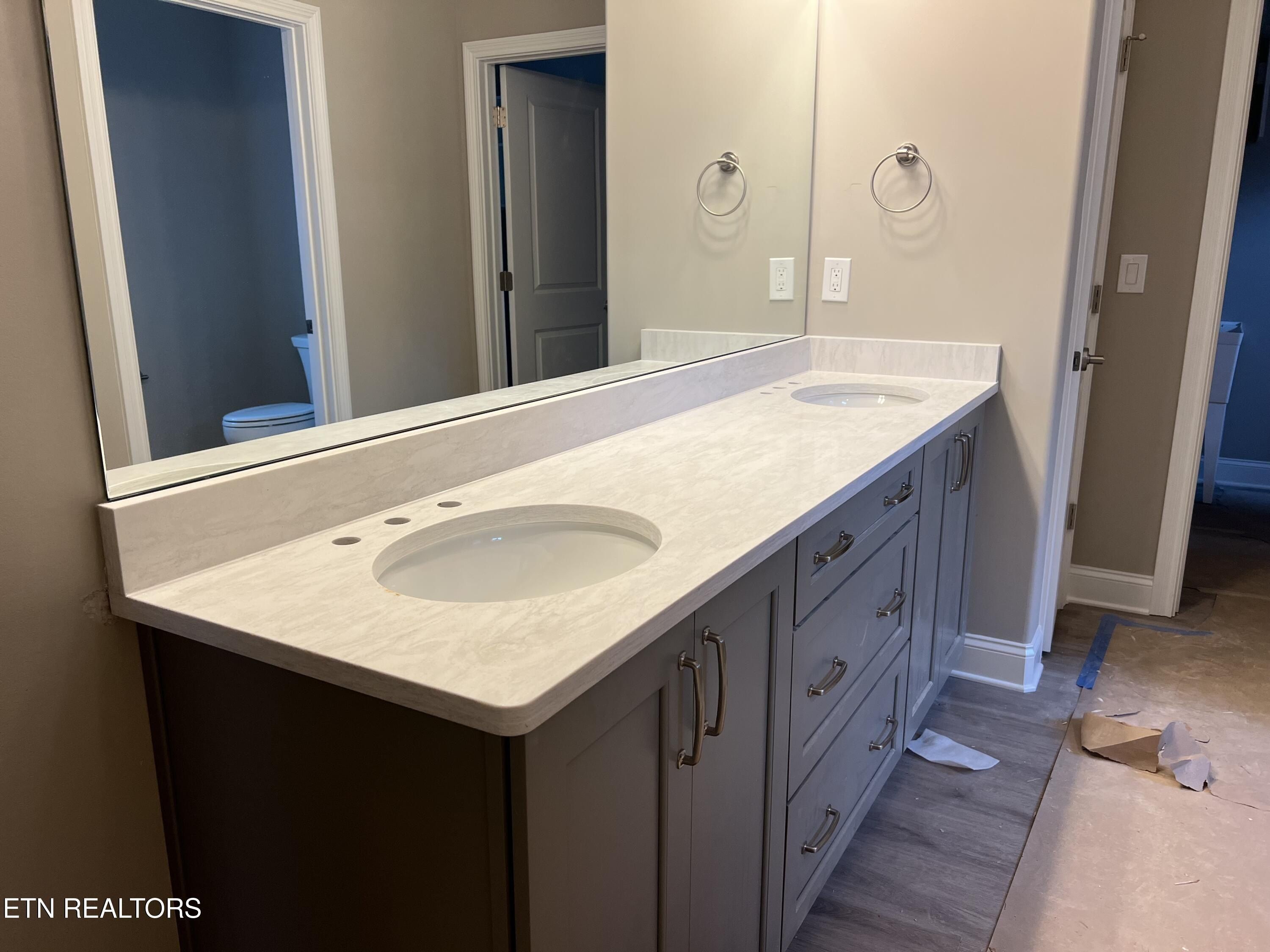 115 River Birch Drive. Lenoir City, TN 37771